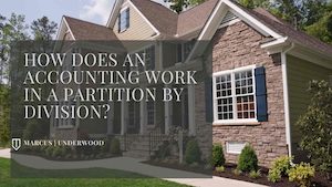 Accounting Work IN A Partition By Division