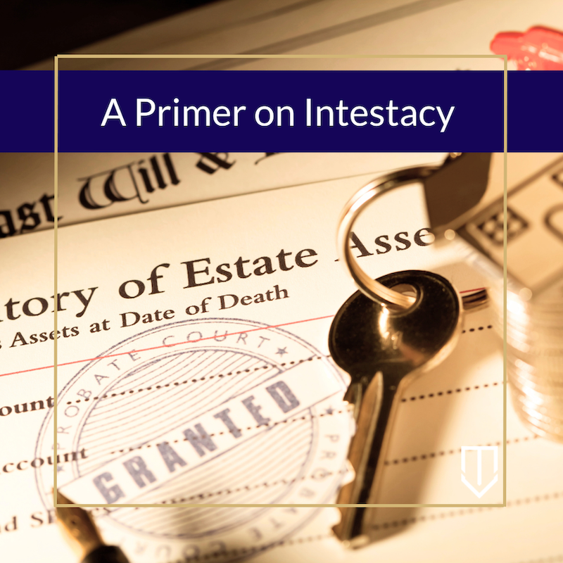 underwood primer on intestacy