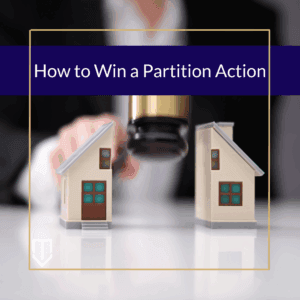 Cover graphic for how to win a partition action